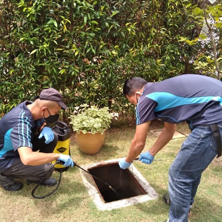 Uni Smart Pest Control — pest control service