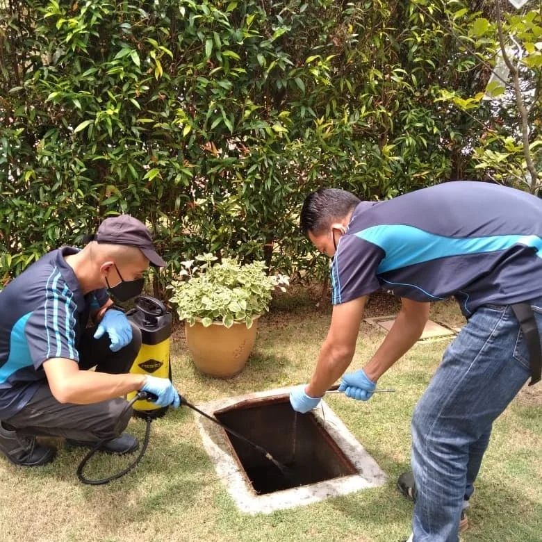 Uni Smart Pest Control — pest control service